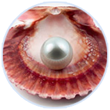 ÓŵÂ88¡¤(ÖйúÇø)ÓÐÏÞ¹«Ë¾¹ÙÍø